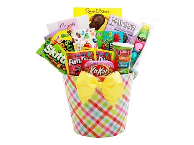 Alder Creek Gift Baskets Spring Pail Assortment of Sweets (FG04437)
