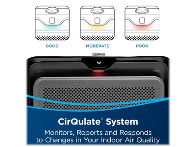 Bissell air220 HEPA Tower Air Purifier, Black/Gray (2609A)