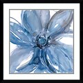 Amanti Art Framed Art Print Blue Beauty II (Floral) by Rebecca Meyers 23W x 23H, Frame Satin Black (DSW3910565)