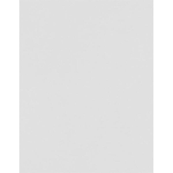 LUX 8 1/2 x 11 Cardstock 50/Pack, Gray - 100% Cotton (81211-C-SG-50)