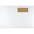 LUX 9 1/2 x 12 1/2 Window Paperboard Mailers 250/Pack, White (84477WIN-250)