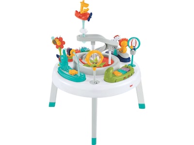 Fisher-Price Sit-to-Stand 2-in-1 Activity Center (FFJ01)