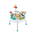 Fisher-Price Sit-to-Stand 2-in-1 Activity Center (FFJ01)