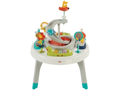 Fisher-Price Sit-to-Stand 2-in-1 Activity Center (FFJ01)