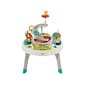 Fisher-Price Sit-to-Stand 2-in-1 Activity Center (FFJ01)