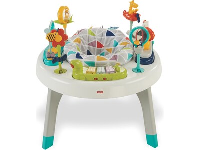 Fisher-Price Sit-to-Stand 2-in-1 Activity Center (FFJ01)