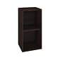 Way Basics 29.1" H x 15" W Eco 2-Shelf Modern Cube Storage and Vinyl Record Shelf, Espresso Wood Grain (BS-SCUBE-2-EO)