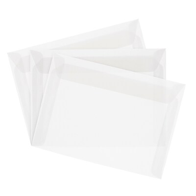 JAM Paper Booklet Envelope, 9" x 12", Clear Translucent, 50/Pack (2851371I)