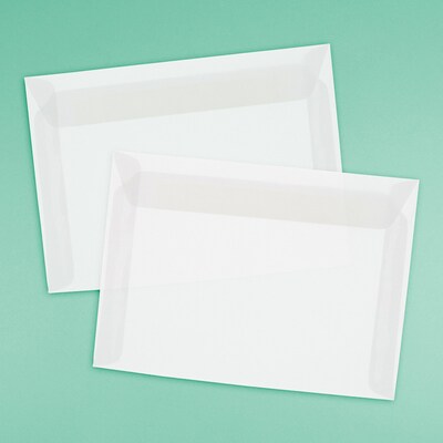 JAM Paper Booklet Envelope, 9" x 12", Clear Translucent, 50/Pack (2851371I)