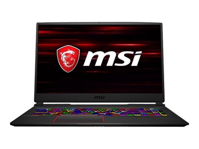 MSI GE75 10SE 482 Raider 17.3 Notebook, Intel i7, 16GB Memory, 512GB SSD + 1TB Hard Drive, Windows 10 Pro (GE75482)