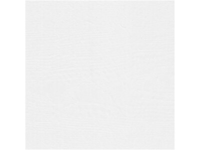 Bush Furniture Woodland 40W Wall Mounted Coat Rack with Shelf, White Ash (WDH340WAS-03)