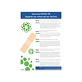 ComplyRight COVID-19 Vaccines: Myths and Facts Poster, Spanish, 3/Pack (N0382SPK3)