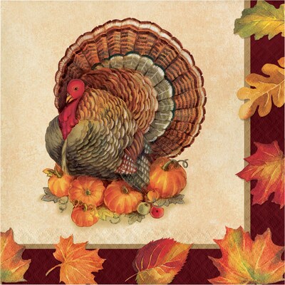 Creative Converting Turkey Traditions Thanksgiving Napkins, 6.5 x 6.5, 16 pack (324016)