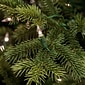 Fraser Hill Farm 9 Ft. Foxtail Pine Christmas Tree with Smart String Lighting (FFFX090-3GR)