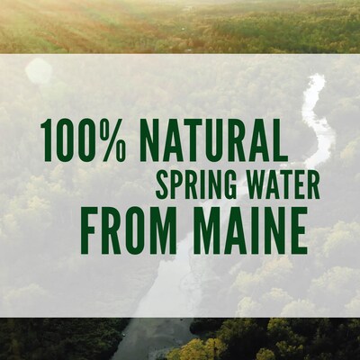 Poland Spring 100% Natural Spring Water, Regular Flavor, 8 oz. Mini Plastic Bottles, 48/Carton (100987)