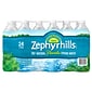 Zephyrhills 100% Natural Spring Water, Regular Flavor, 16.9 oz. Plastic Bottles, 24/Carton (11475233)