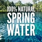 Zephyrhills 100% Natural Spring Water, 16.9 oz. Plastic Bottles, 24/Carton (11475233)