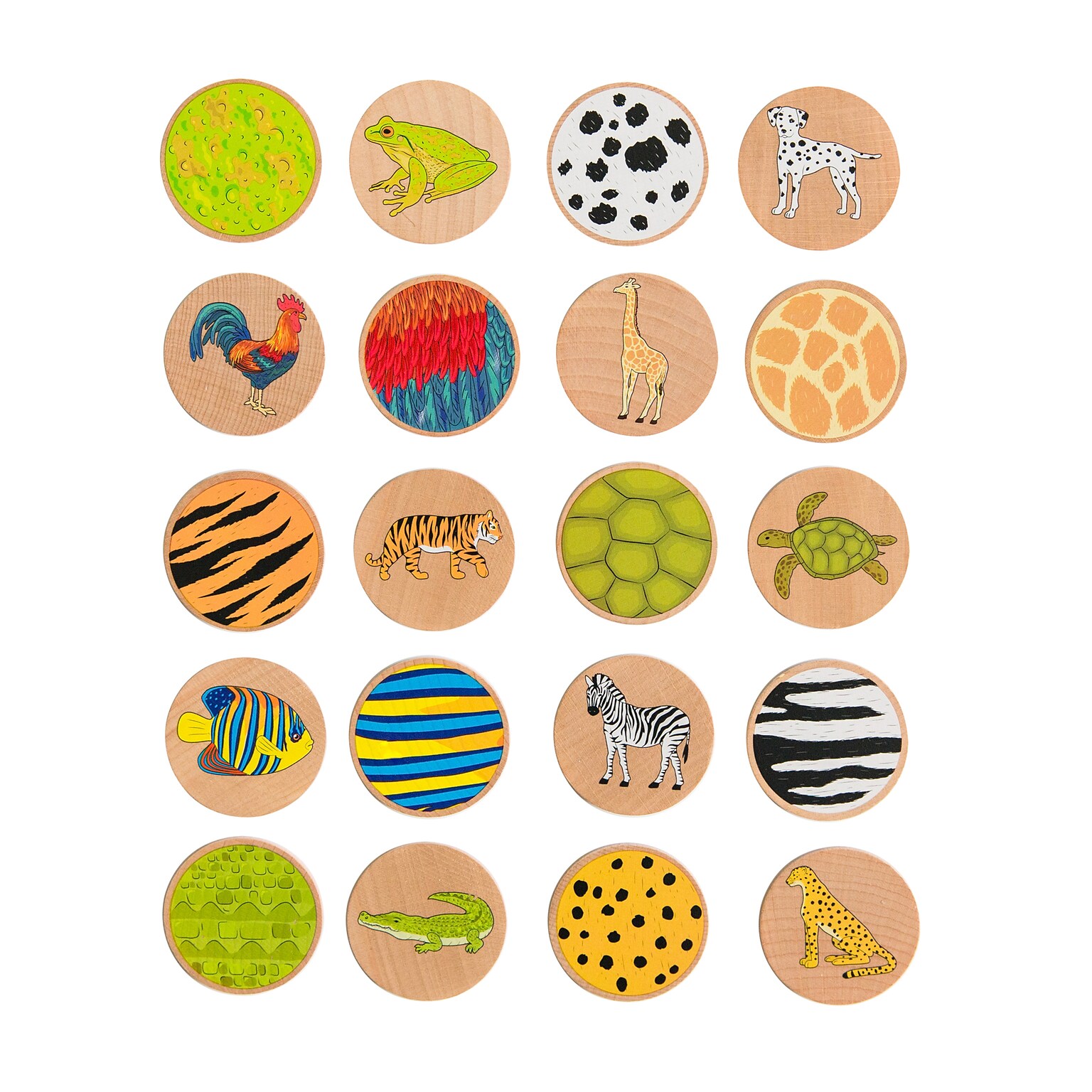 Learning Advantage The Freckled Frog Matching Pairs - Who Am I?, Grade PK+, 20/Pack (CTUFF3015)