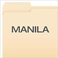 Pendaflex Filing Combo Kit, 3/4" Expansion, 1/5-Cut Tab, Letter, Green/Manila (99200EE)