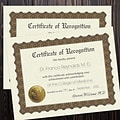 Great Papers Certificates, 8.5 x 11, Gold and Beige, 18/Pack (20104239)