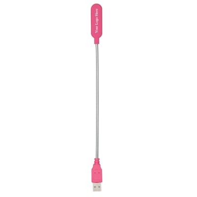 Custom USB Flexi Light