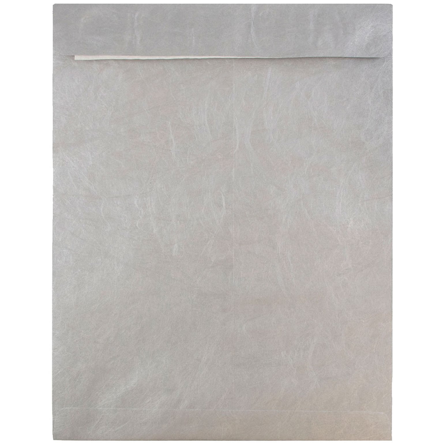 JAM Paper Open End Clasp #13 Catalog Envelope, 10 x 13, Silver, 10/Pack (V021384B)