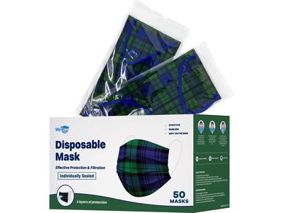 WeCare Individually Wrapped Disposable Face Mask, 3-Ply, Adult, Green Plaid, 50/Box (WMN100048)