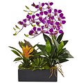 Nearly Natural Dendrobium and Bromeliad Arrangement (1470-PP)