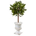Nearly Natural 2.5’ Sweet Bay Mini Topiary Tree in White Urn (5995)