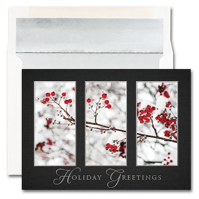 JAM Paper® Blank Holiday Christmas Card Set, Windows of Beauty, 25/pack (526M1310WB)