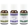 HoMedics Relax Sampler Therapeutic-Grade Essential Oil, Eucalyptus, Tea Tree & Relax Blend, 0.5 oz.,