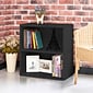 Way Basics 24.7"H Webster 2-Shelf Bookcase Organizer and Modern Eco Storage Shelf Unit, Black Wood Grain (WB-2SHELF-BK)