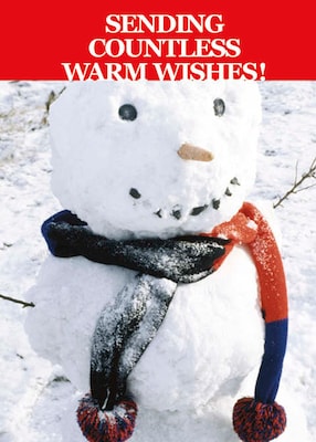 Sending Countless Warm Wishes Snowman Holiday Greeting Cards, With A7 Envelopes, 7 x 5, 25 Cards p