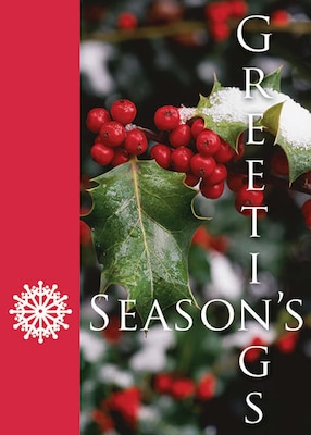 Seasons Greetings Leaves & Berries Holiday Greeting Cards, With A7 Envelopes, 7 x 5, 25 Cards per