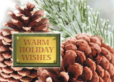 Warm Holiday Wishes Pinecones Holiday Greeting Cards, With A7 Envelopes, 7 x 5, 25 Cards per Set