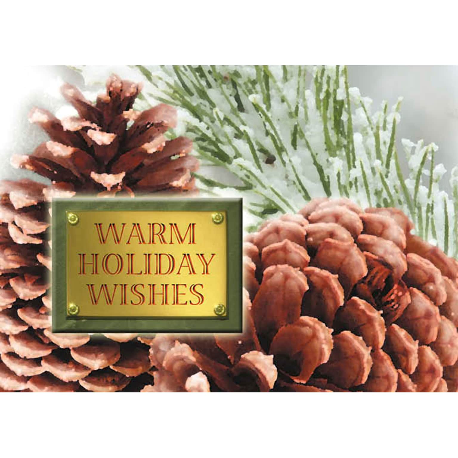 Warm Holiday Wishes Pinecones Holiday Greeting Cards, With A7 Envelopes, 7 x 5, 25 Cards per Set