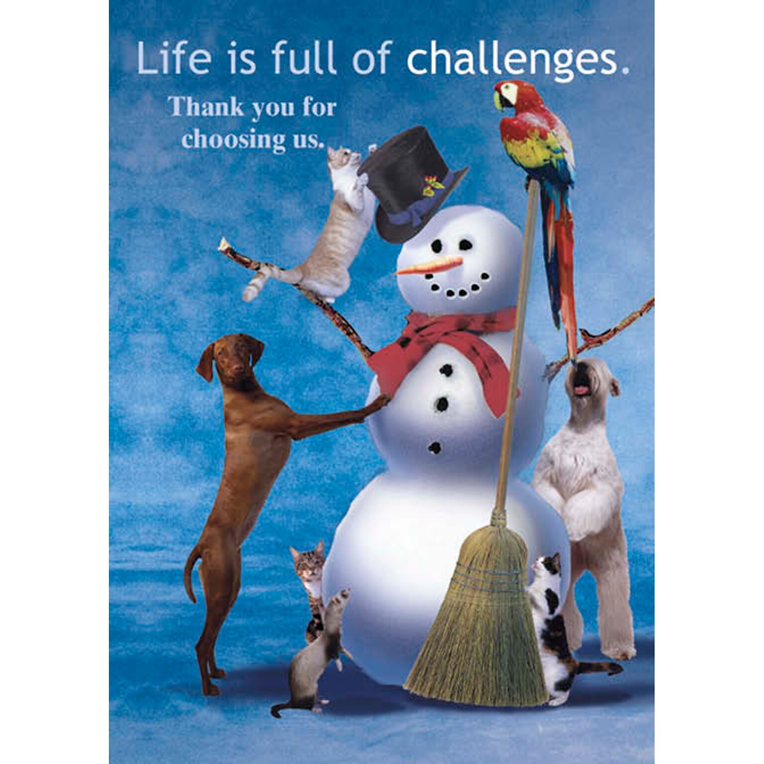 Thank You For Choosing Us Vetrinary Holiday Greeting Cards, With A7 Envelopes, 7 x 5, 25 Cards per Set