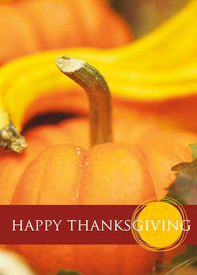 Happy Thanksgiving Pumpkin Seasonal Greeting Cards, With A7 Envelopes, 7 x 5, 25 Cards per Set