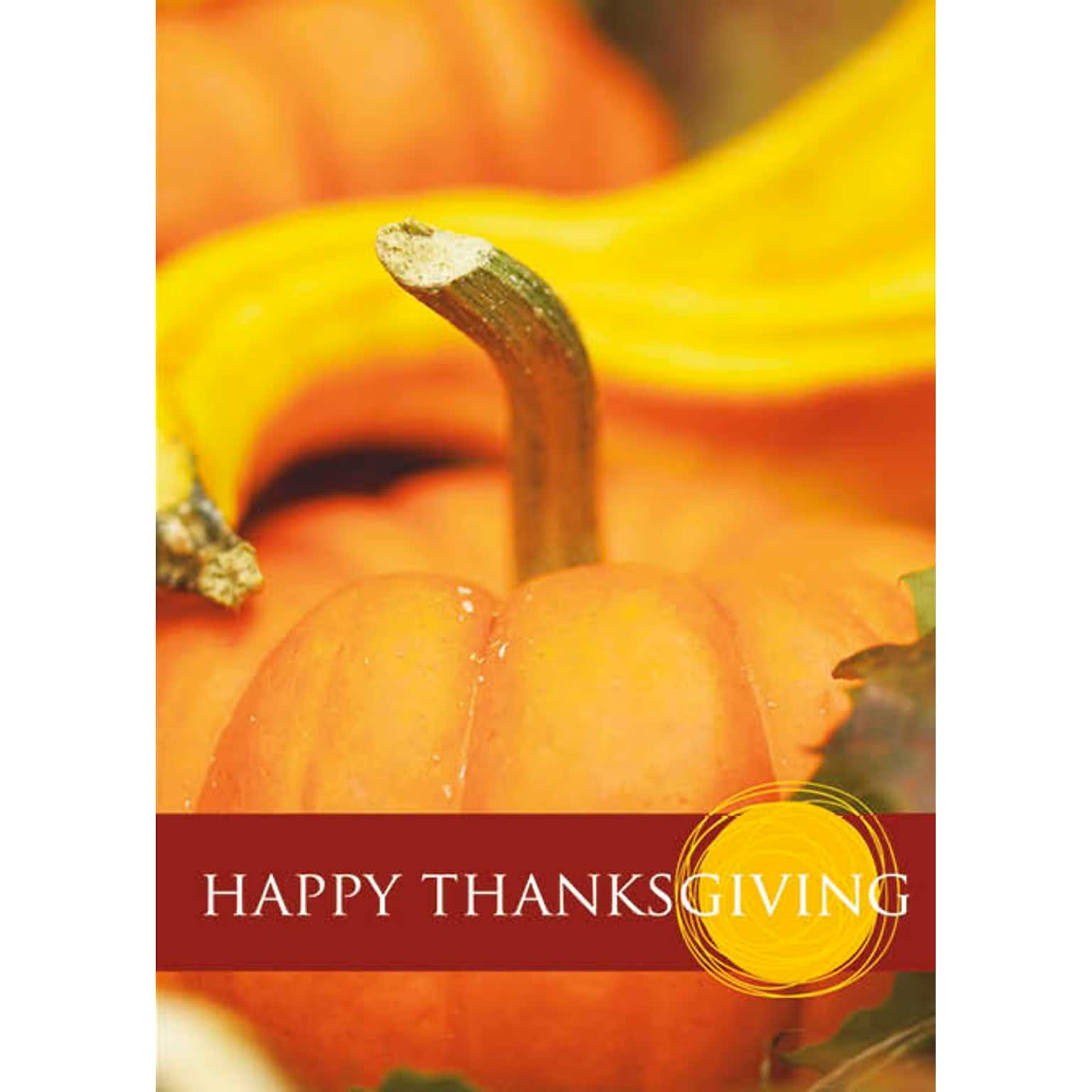 Happy Thanksgiving Pumpkin Seasonal Greeting Cards, With A7 Envelopes, 7 x 5, 25 Cards per Set