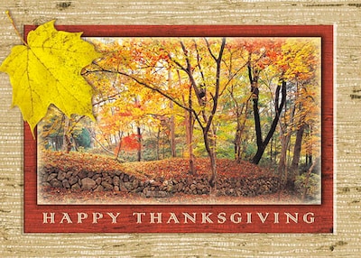 Happy Thanksgiving Fall In The Woods Seasonal Greeting Cards, With A7 Envelopes, 7 x 5, 25 Cards p