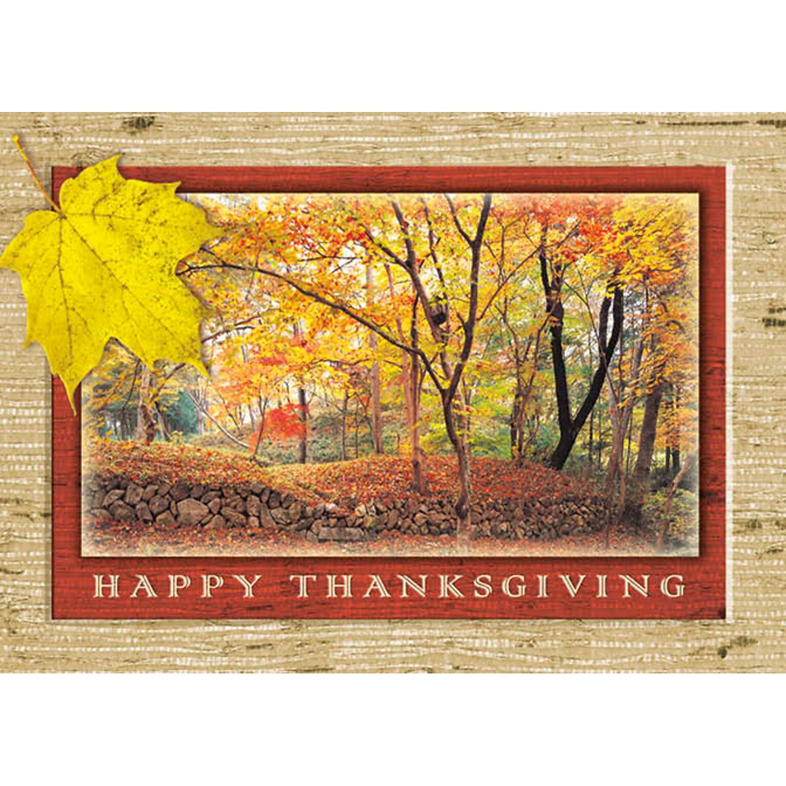 Happy Thanksgiving Fall In The Woods Seasonal Greeting Cards, With A7 Envelopes, 7 x 5, 25 Cards per Set