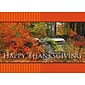 Happy Thanksgiving Scenic Woods In Autumn Seasonal Greeting Cards, With A7 Envelopes, 7" x 5", 25 Cards per Set