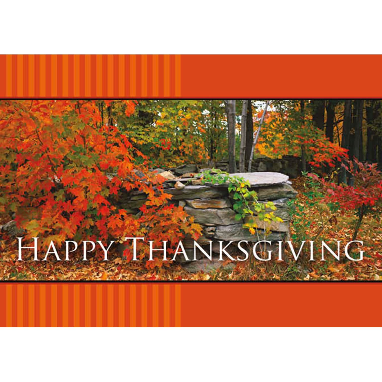 Happy Thanksgiving Scenic Woods In Autumn Seasonal Greeting Cards, With A7 Envelopes, 7 x 5, 25 Cards per Set