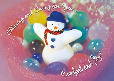 Comfort And Joy Snowman Holiday Greeting Cards, With A7 Envelopes, 7 x 5, 25 Cards per Set
