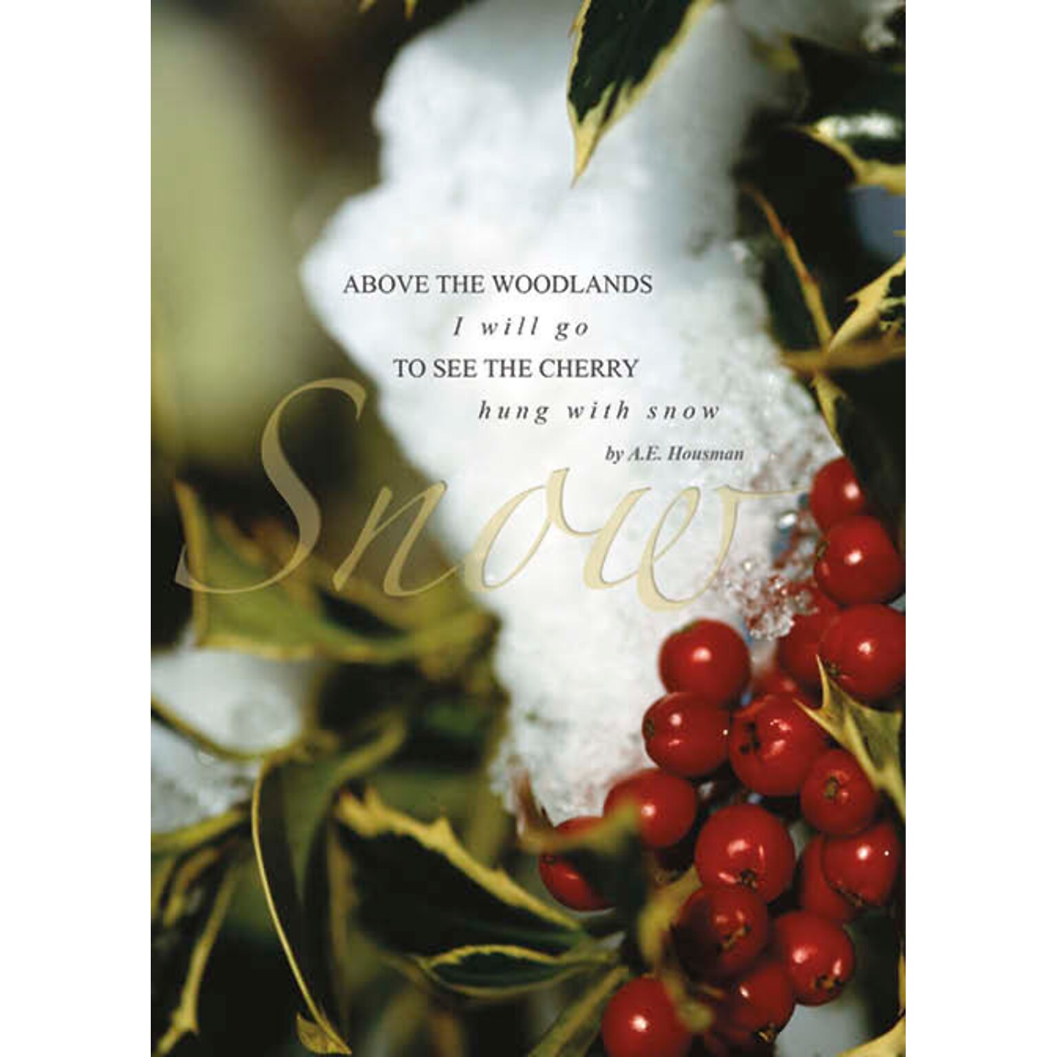 Above the Woodlands A.E. Housman Holiday Greeting Cards, With A7 Envelopes, 7 x 5, 25 Cards per Set