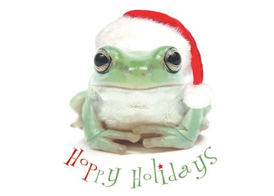 Hoppy Holidays Frog With Santa Hat Holiday Greeting Cards, With A7 Envelopes, 7 x 5, 25 Cards per