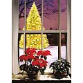 Pointsettias And Christmas Tree Holiday Greeting Cards, With A7 Envelopes, 7 x 5, 25 Cards per Set