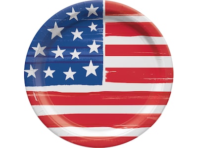 Amscan Patriotic 4th of July Plate, Multicolor (753079)