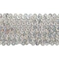 Stretch Sequins 2X8yd-Silver Holographic