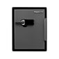 SentrySafe Steel Fire/Waterproof Safe with Keypad Lock, 2 Cu. Ft. (SFW205TWC)